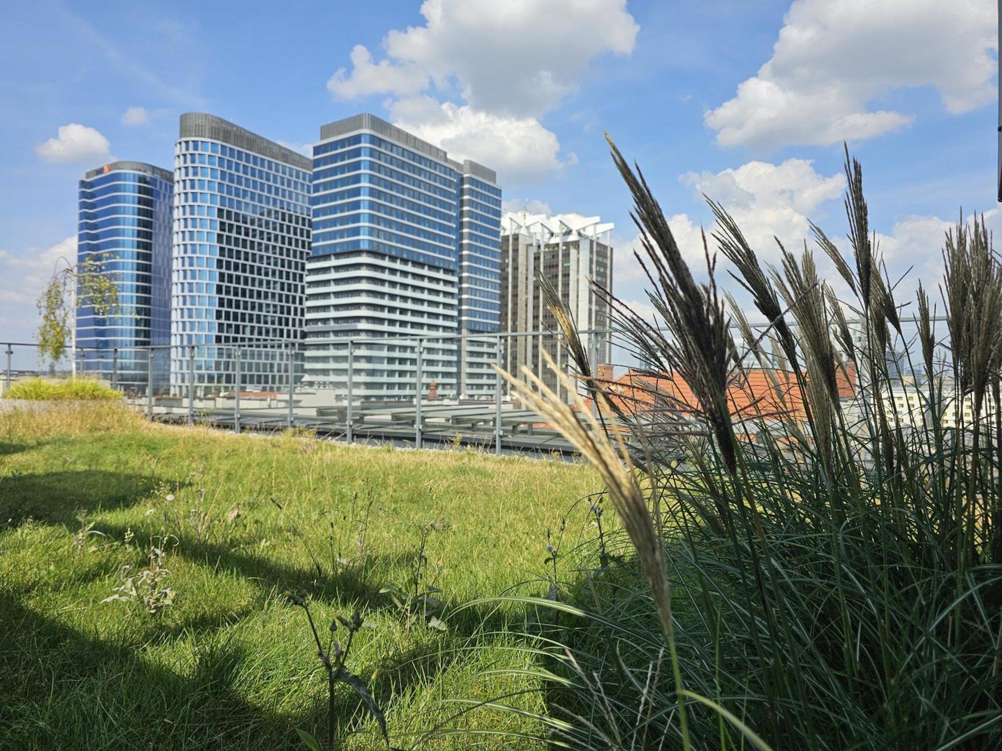 Urban Apartments Premium, Opolska 10 No 90, 2 Free Garages, Self Check-In Katowice Esterno foto